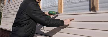 Best Custom Trim and Detailing for Siding  in Loves Park, IL